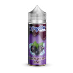 Kingston - Blackcurrant Chill - 120ml